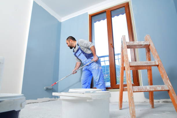 Best Post-Construction Mold Inspection  in Andalusia, IL